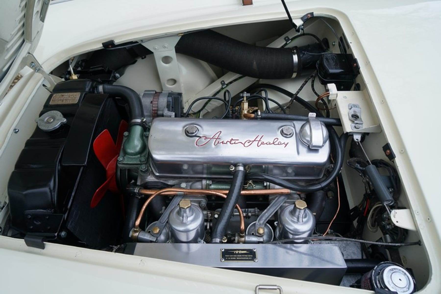 Austin Healey 100/4 BN1, 1955 — photograph 4.