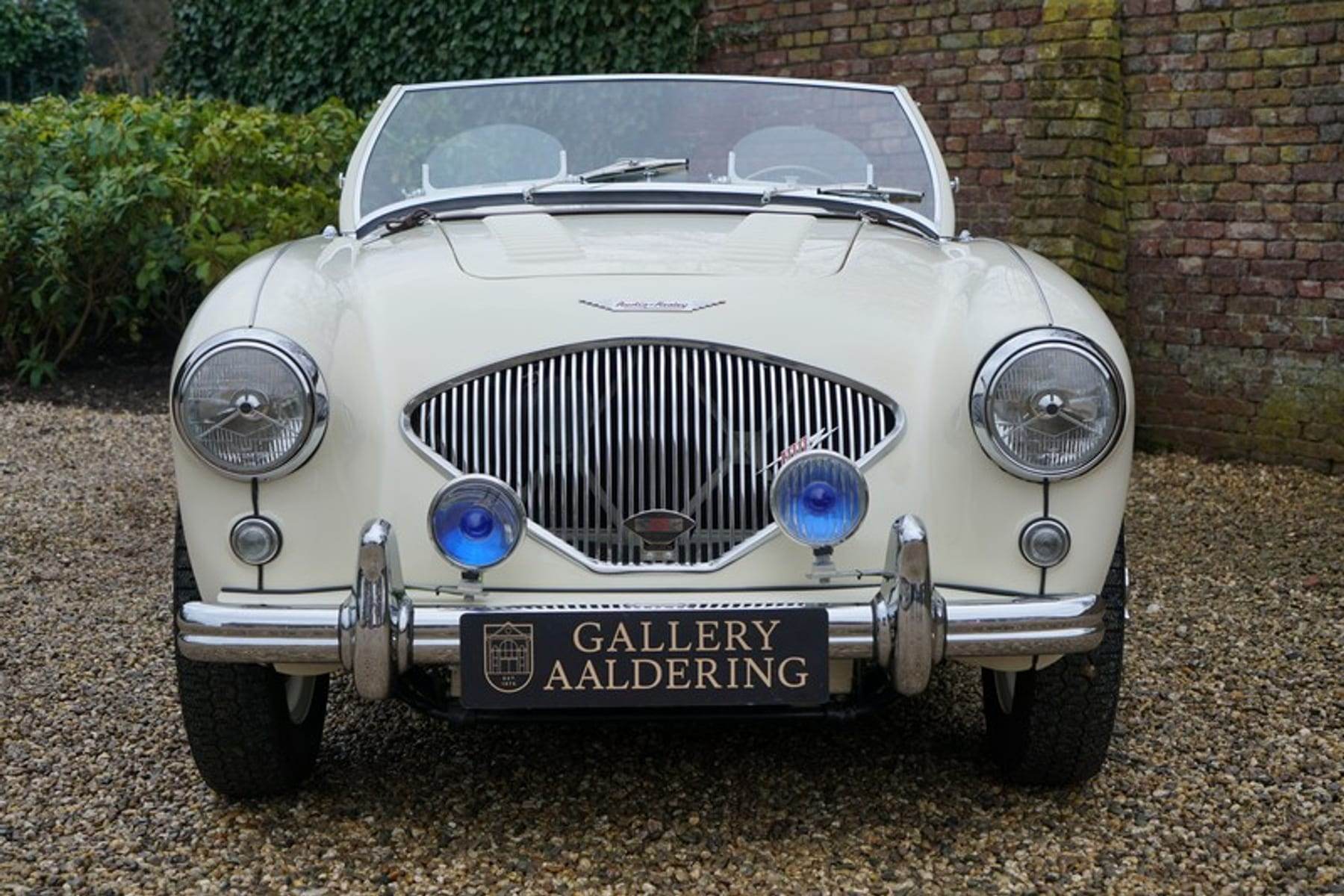Austin Healey 100/4 BN1, 1955 — photograph 5.