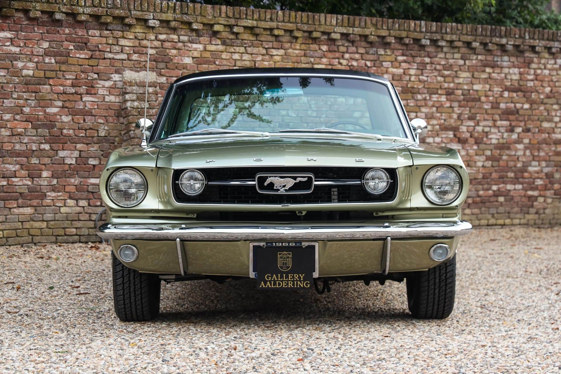 Ford Mustang, 1966 — photograph 4.