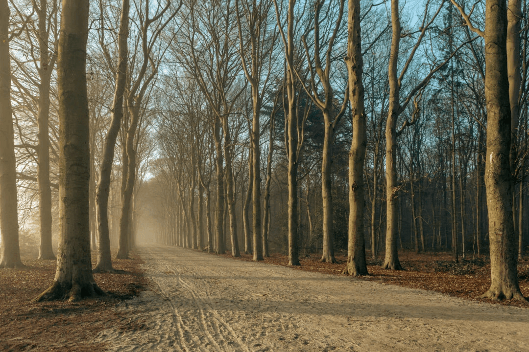 Exhibition of landscape photos André Dümmer at Gallery Aaldering